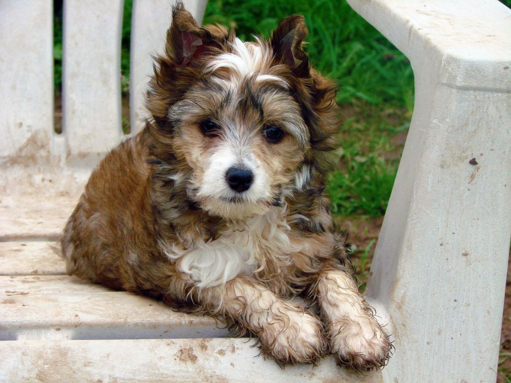 Seafoam's Blossoming Beauty