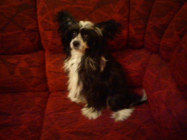 Geliodor  Rialty Melayke