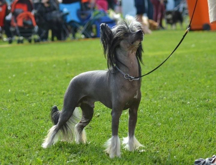 Touch Beauty Grant Fate