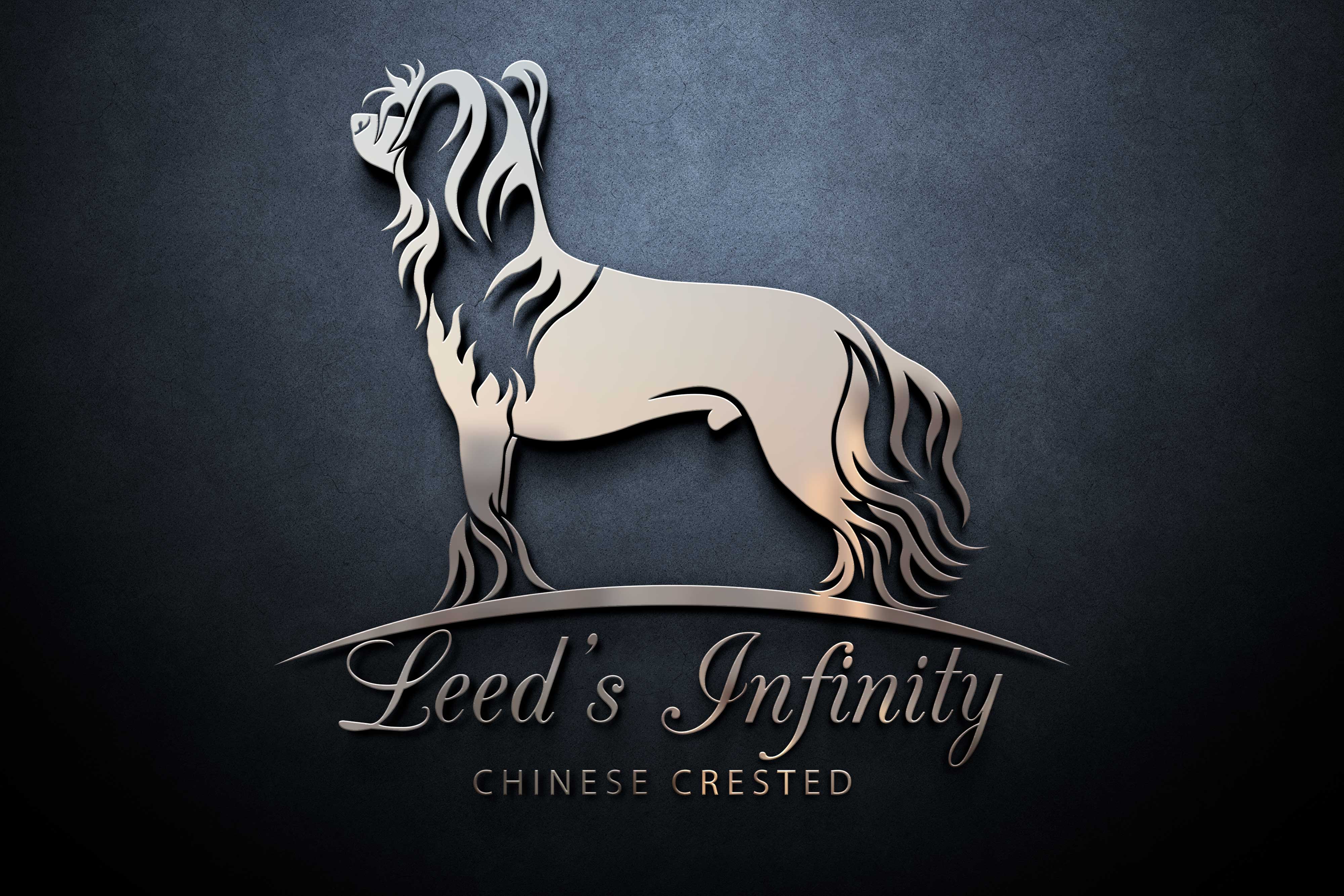Leed´s Infinity Logo