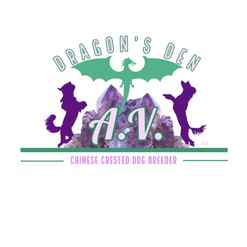 A.V. Dragon's Den Logo