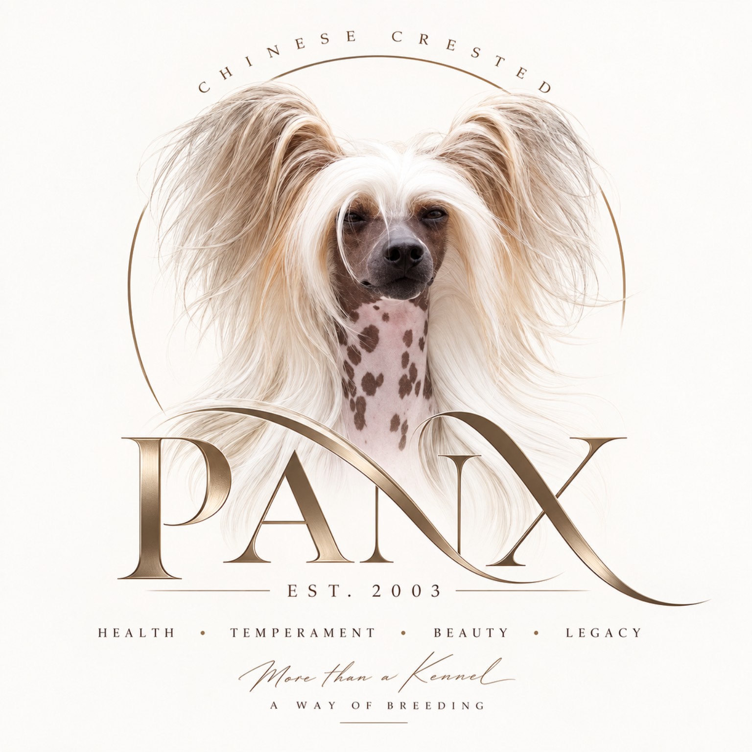 Panx Logo