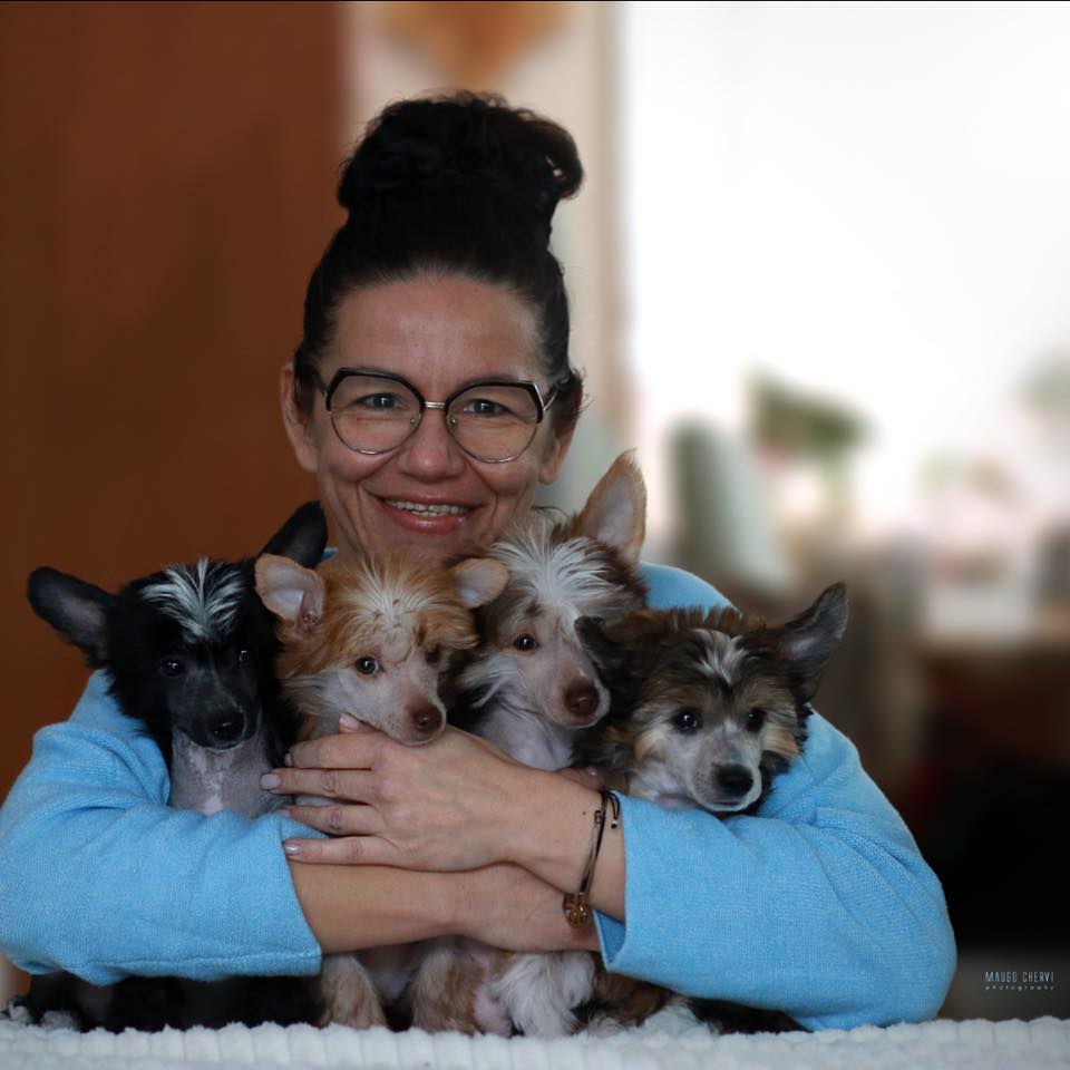 Nagi Instynkt (FCI) Logo