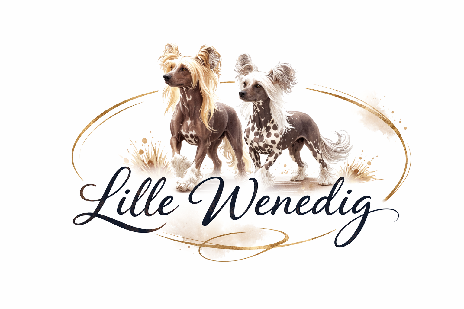 Lille Wenedig’s  Logo