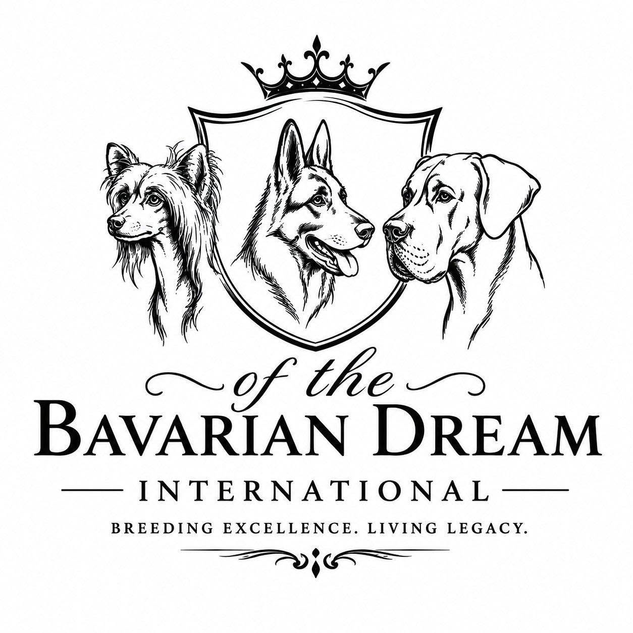 Of the Bavarian Dream  Logo