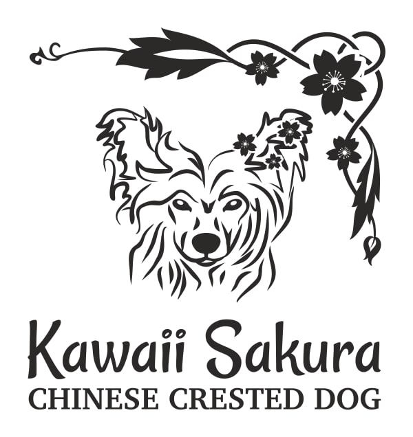 Kawaii Sakura Logo