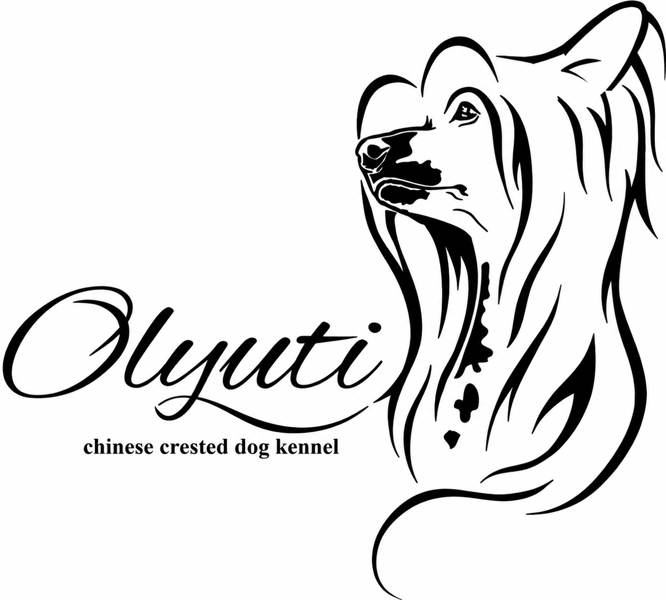 Olyuti Logo