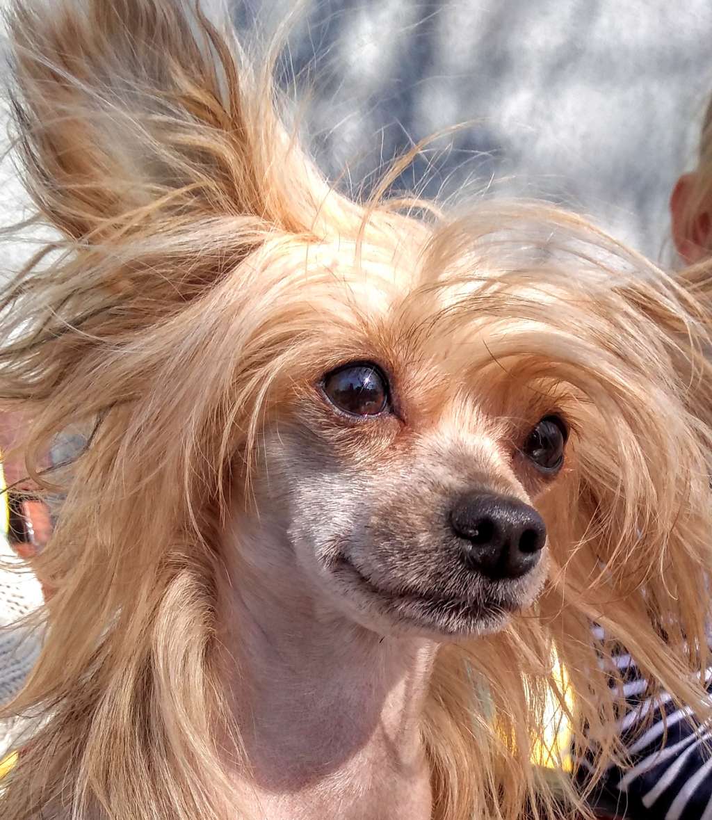 NESKA Romantico Reggae