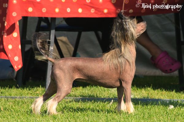 Crestwood Quarz Crystal