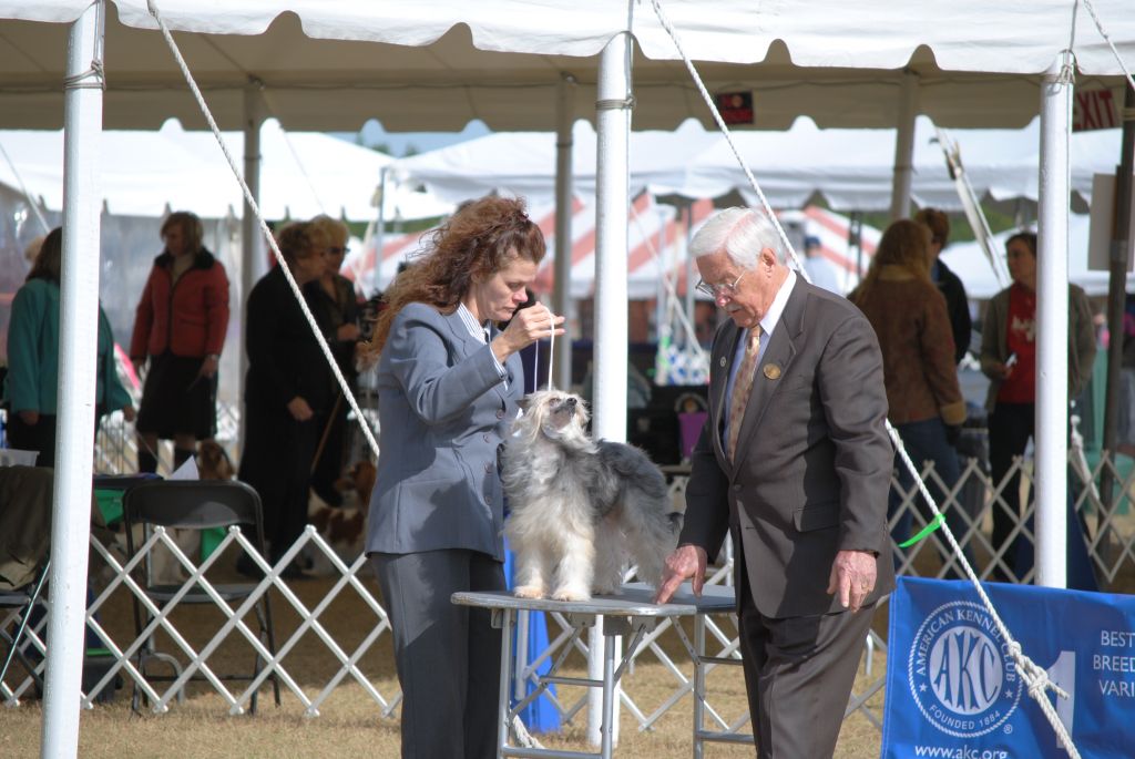 Hill's Cresteds La Feme Princess Donya