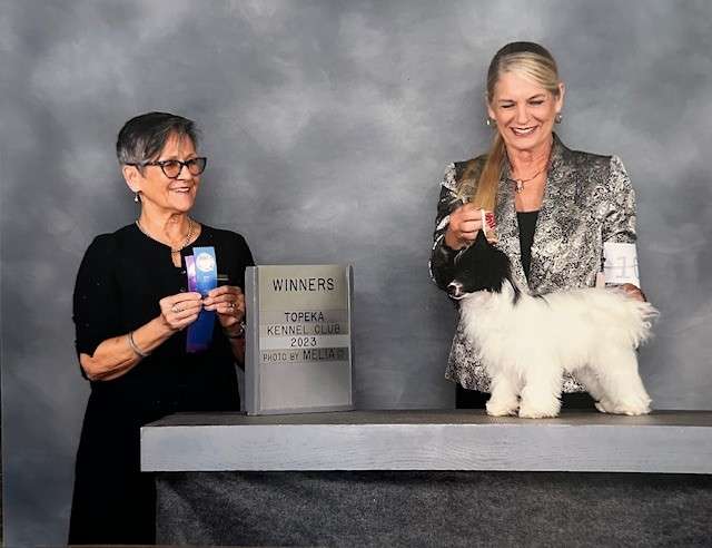 Kaylen's The Colors Of The Rainbow