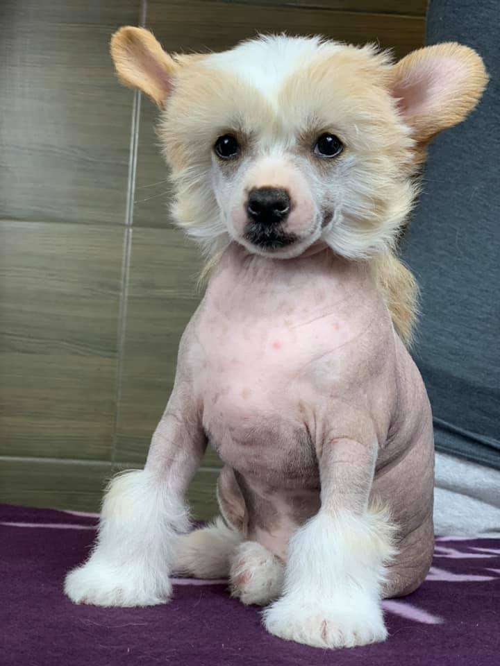 Picture