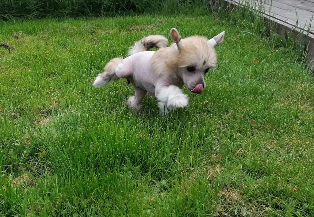 Picture