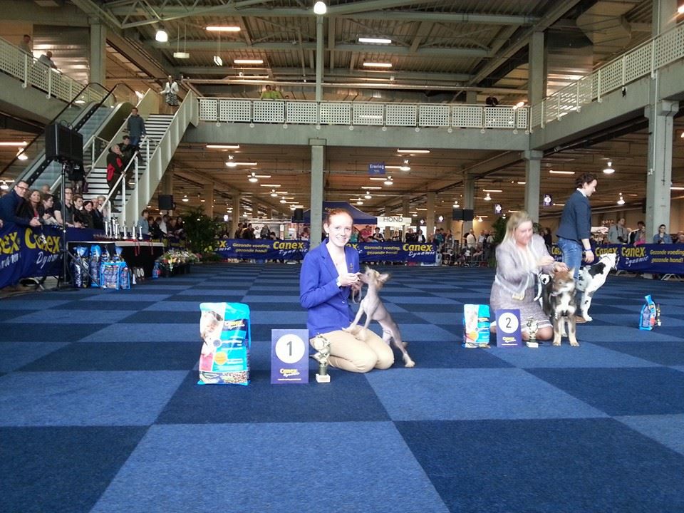 Picture