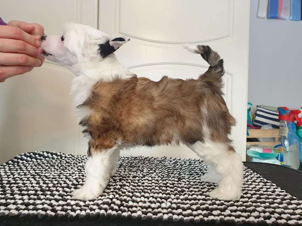 Viuvaun Notice My Name