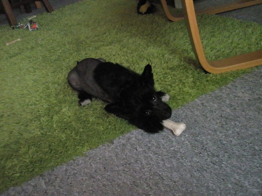 Picture