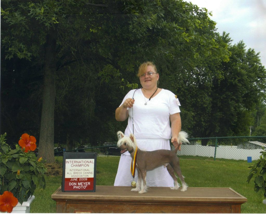 Kai's Kazuki Raiden Of ULA