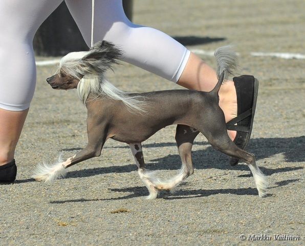 Picture