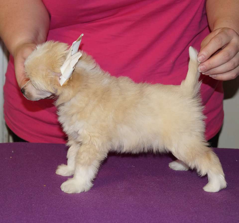 Sun Dan Snowflakes On My Eyelashes