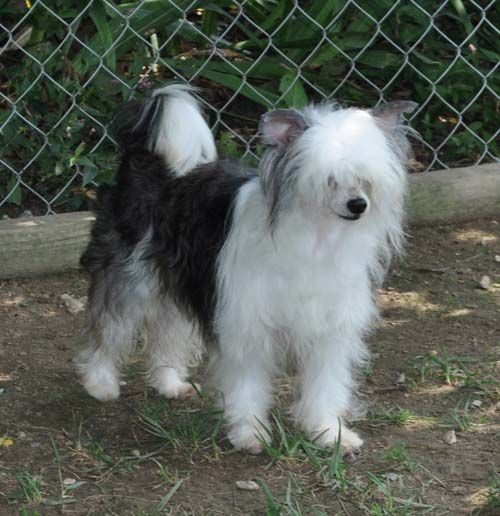 Silver Bluff Louise Vuitton