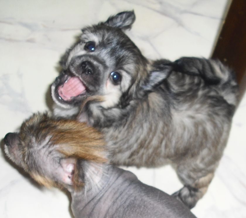Picture