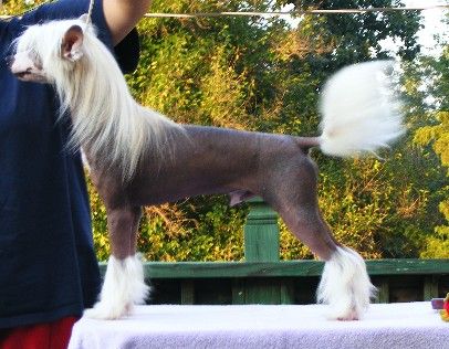 Whispering Lane Start Me Up