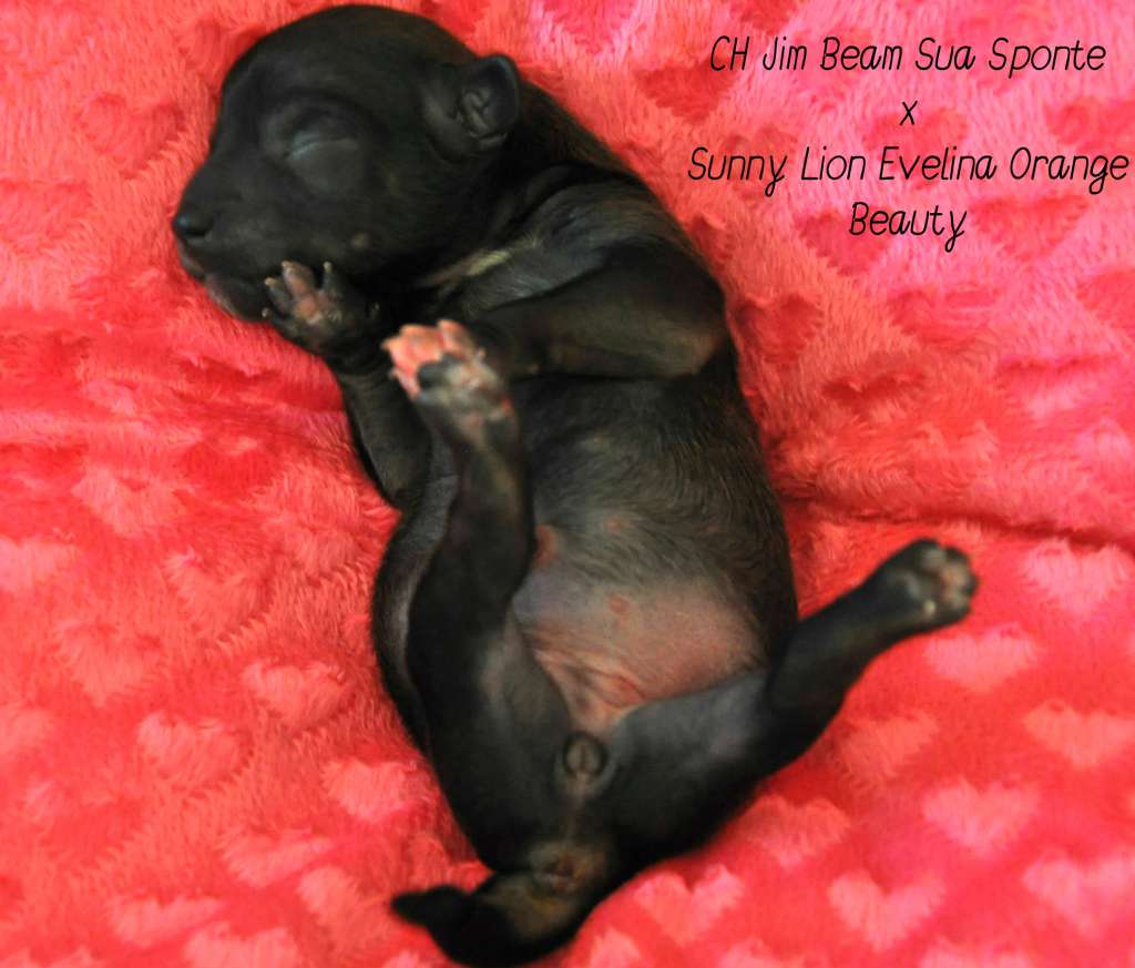 Crystal Soul Greta Garbo