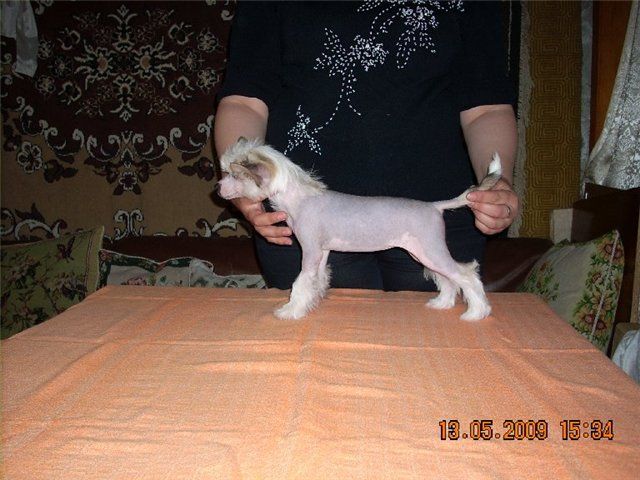 Picture