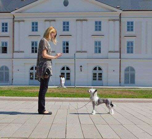 Picture