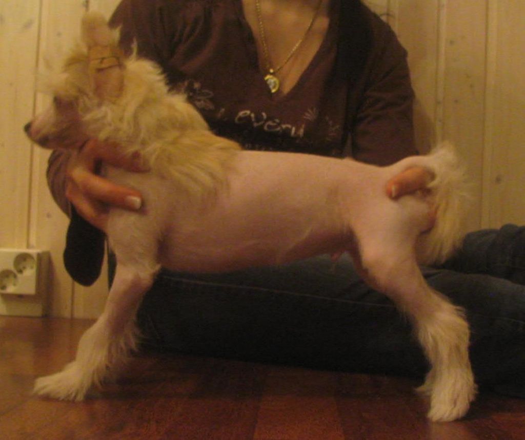 Picture
