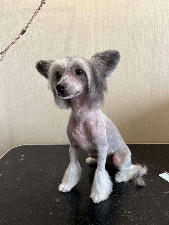 Sol'tanto Faith In Love