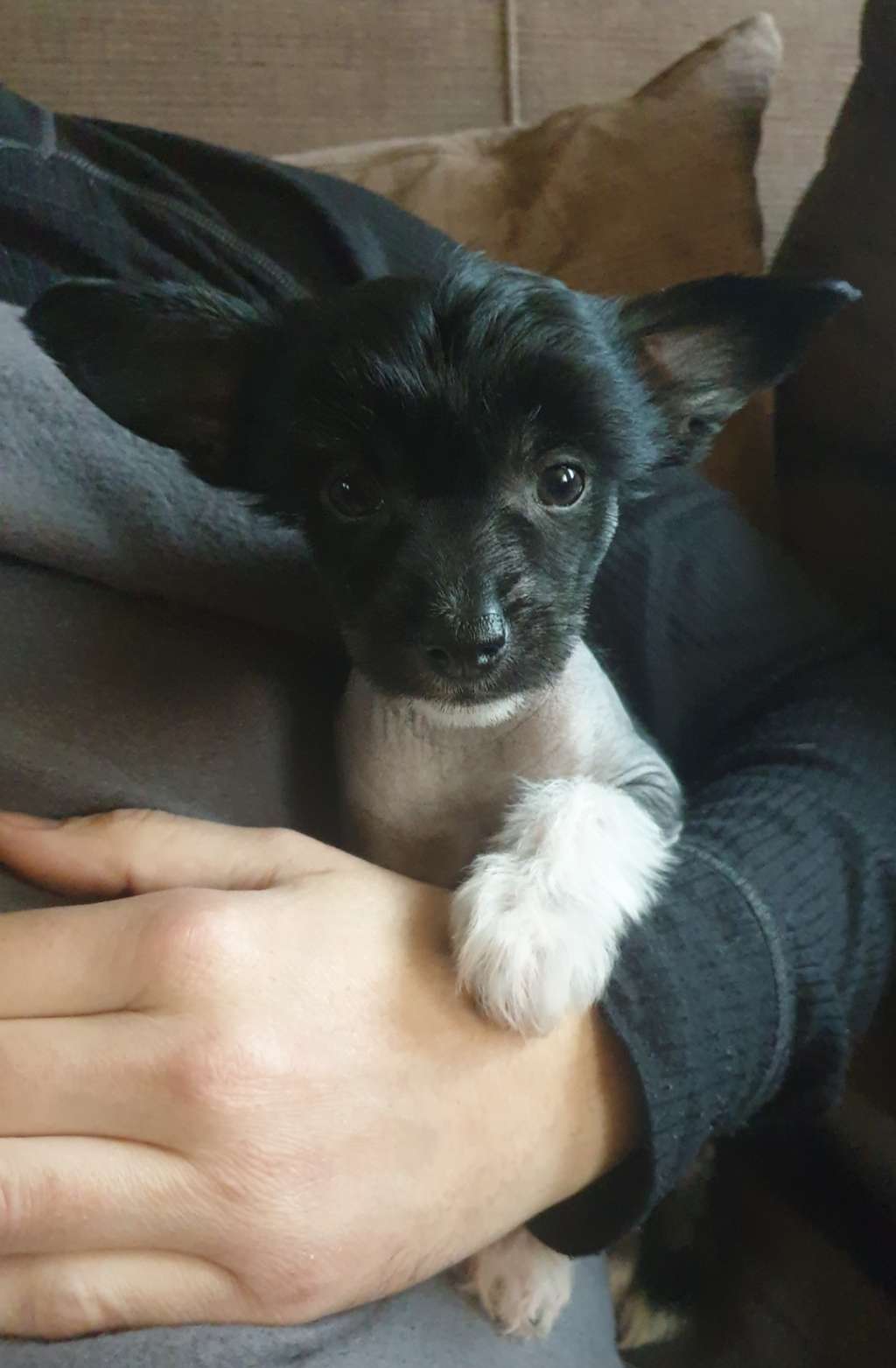 Twice as Nice Soul of the Sea