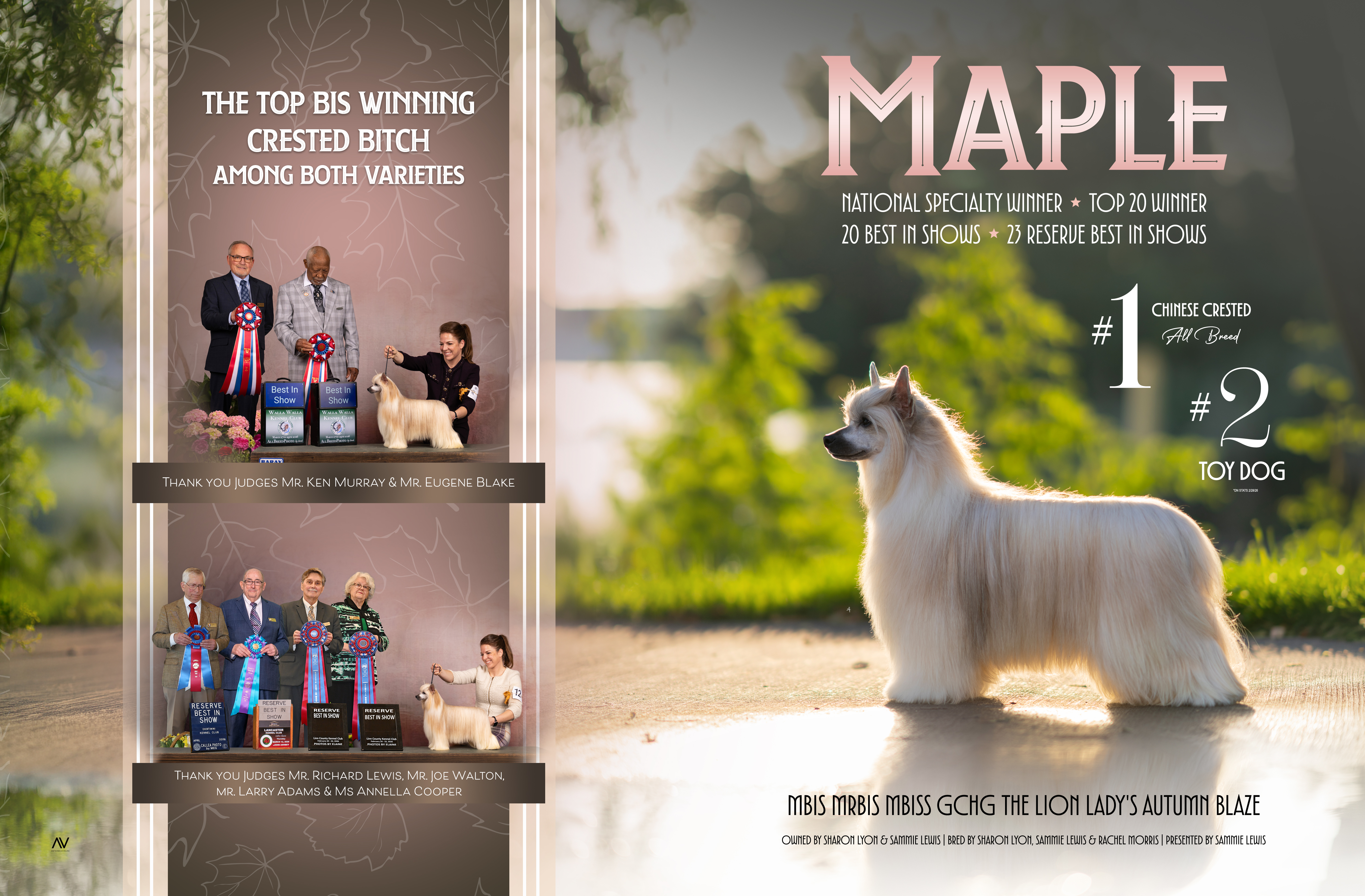 The Lion Lady's Autumn Blaze