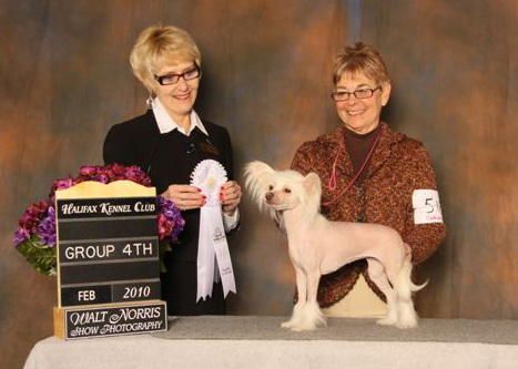 Razzmatazz Pink Pearl