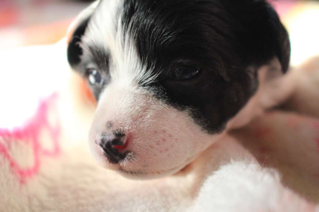 Dresscode-Zero Question of Lust