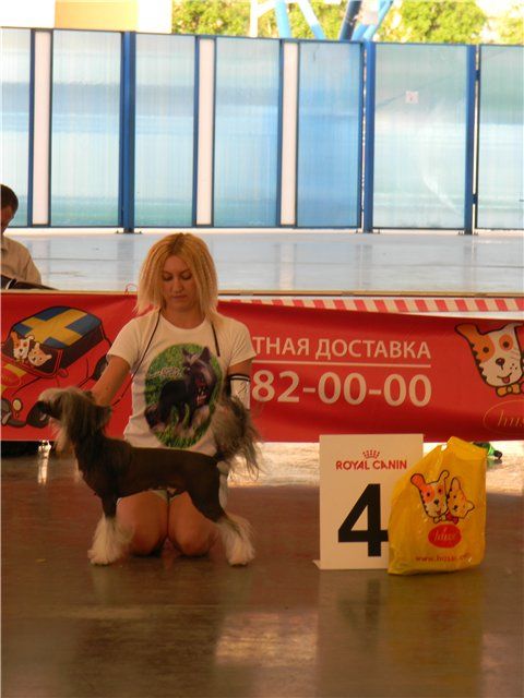 Picture