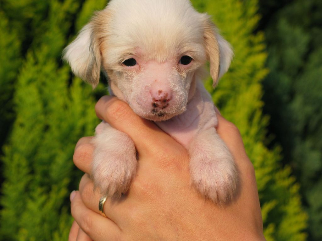 Be My Lady Stardust of Angel's Legacy