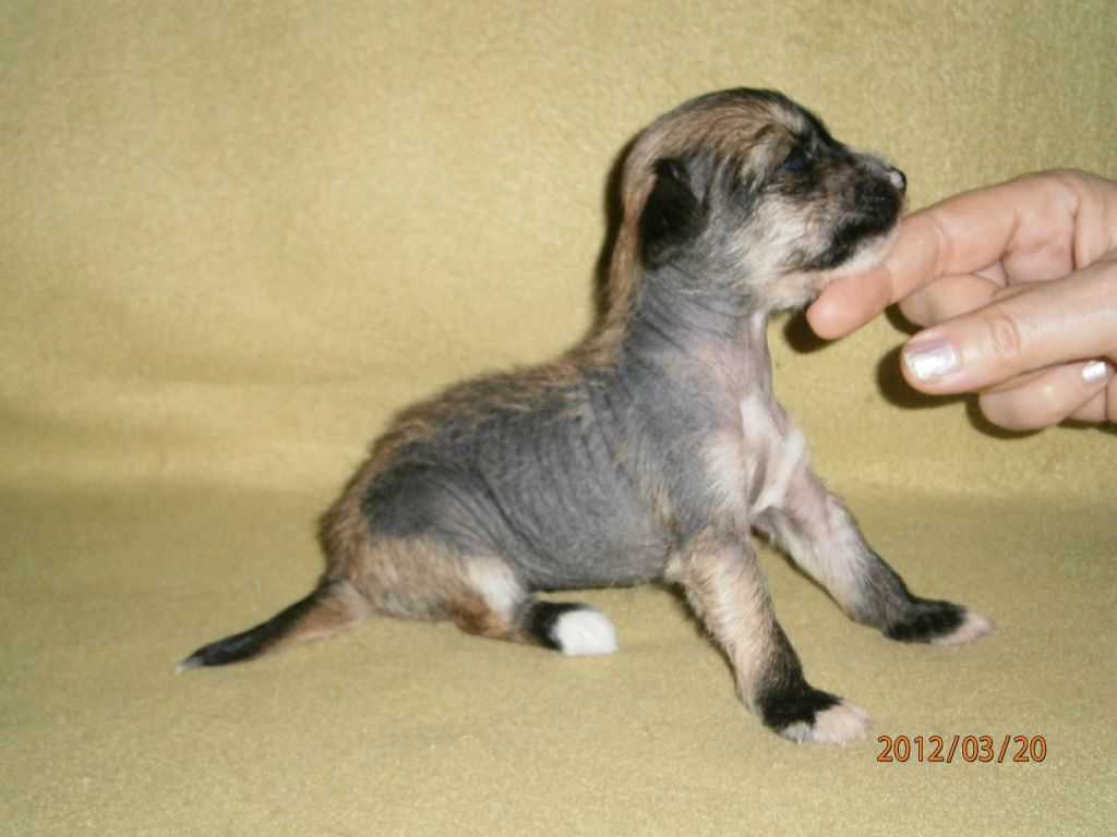 Picture