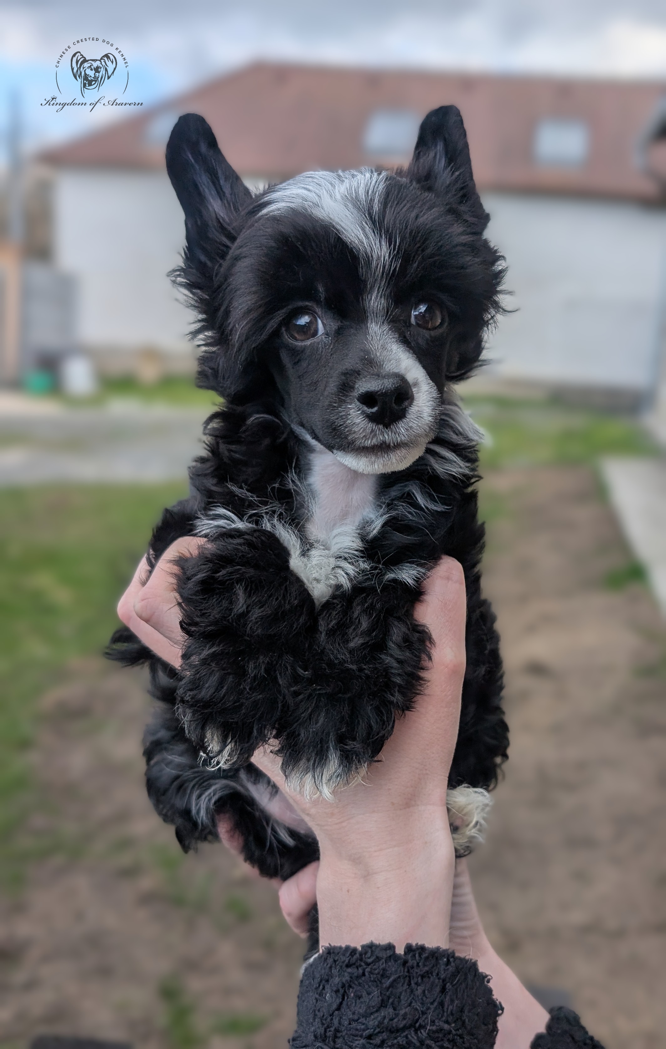 Bogey Kingdom of Aravern