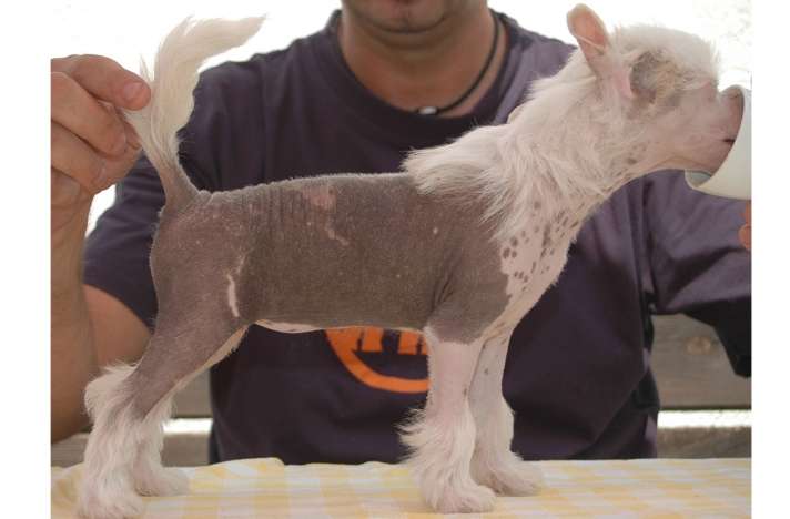 Betty Kim Di Chrisdor's