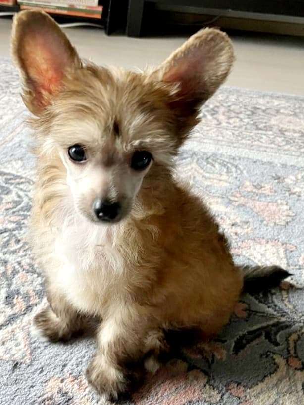 Concrete Clouds Love Is Love