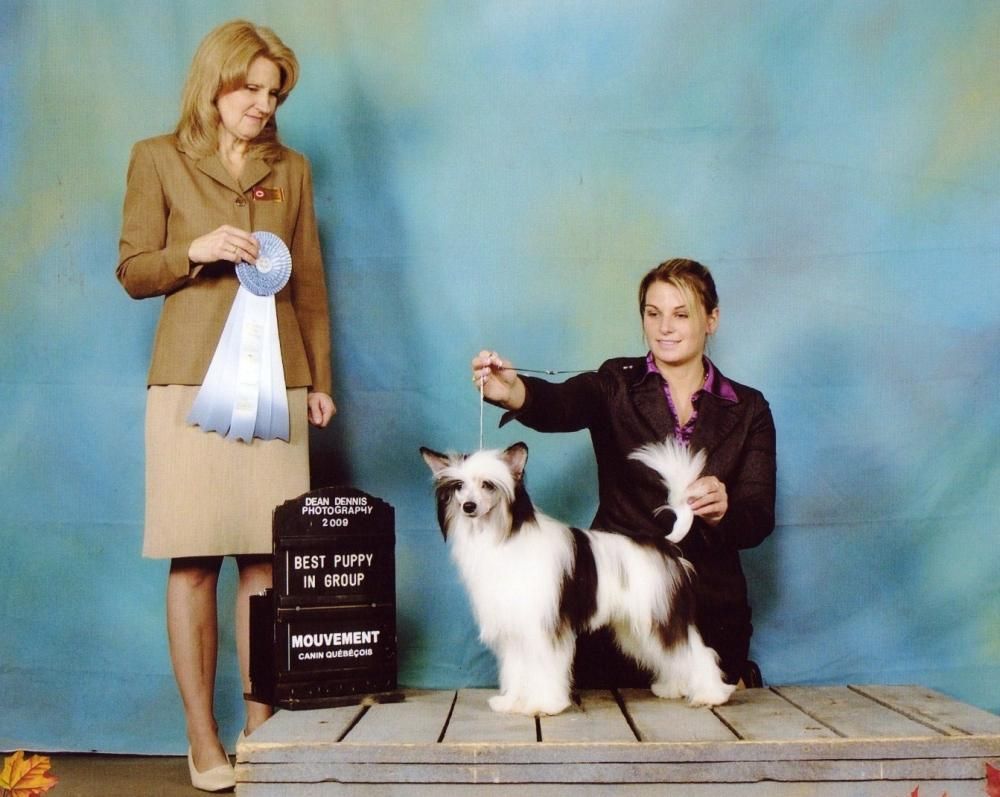 Nu Poil's Jake Lets Get Fighting