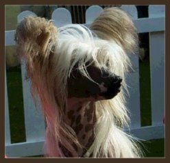 Lemiz Castle On A Cloud At Sarachi