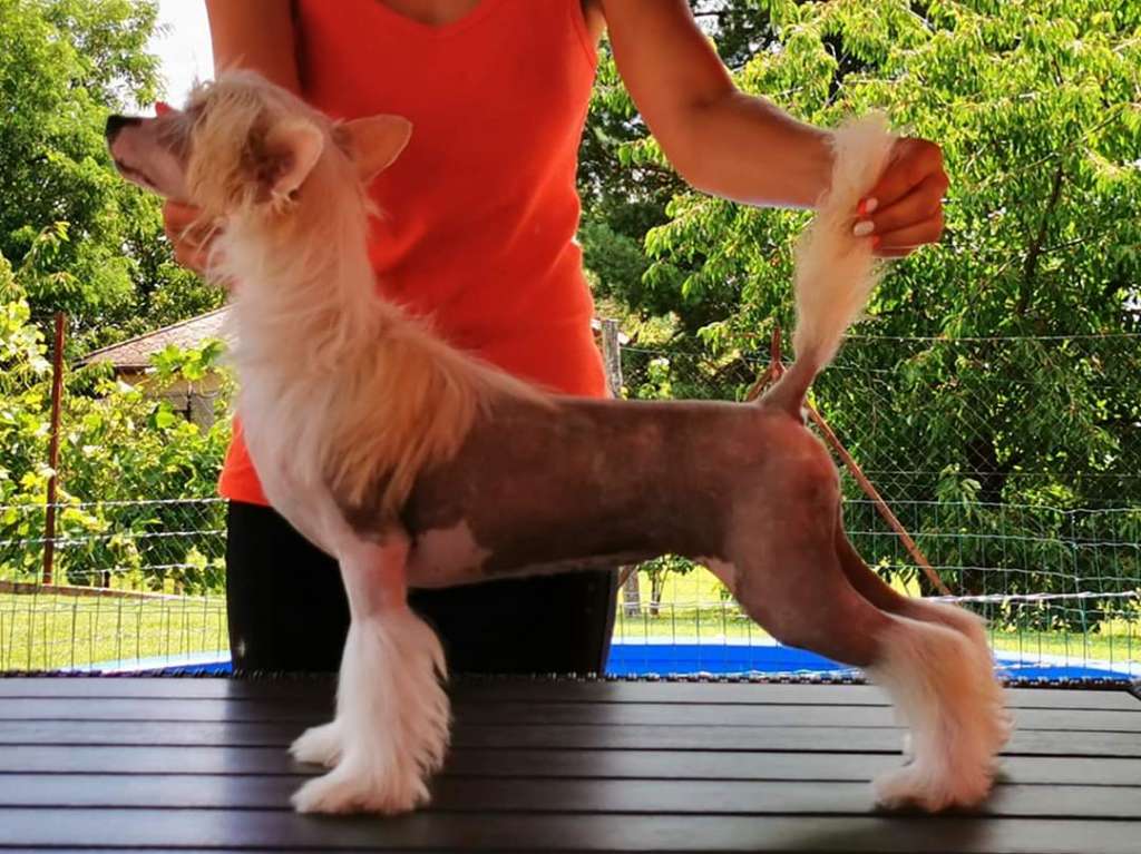 Licky Lips Let Me Love You