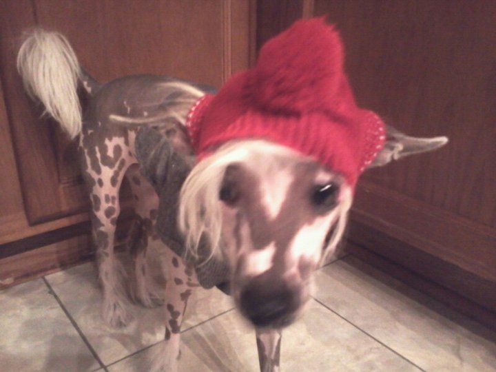 Lyric Town Philadelphia Freedom