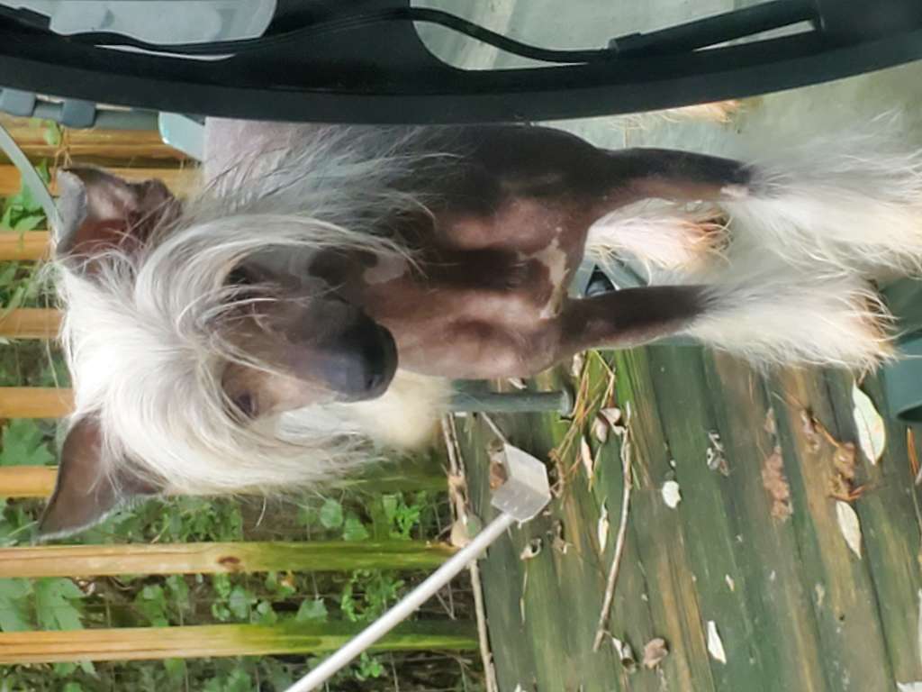 Virtual Reality By Jove