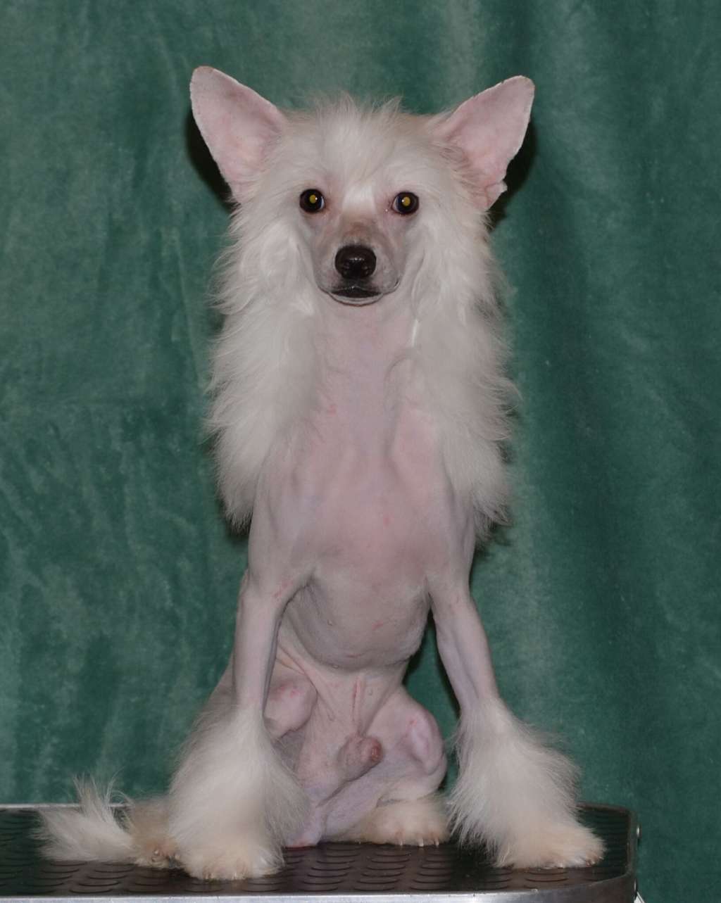 Picture