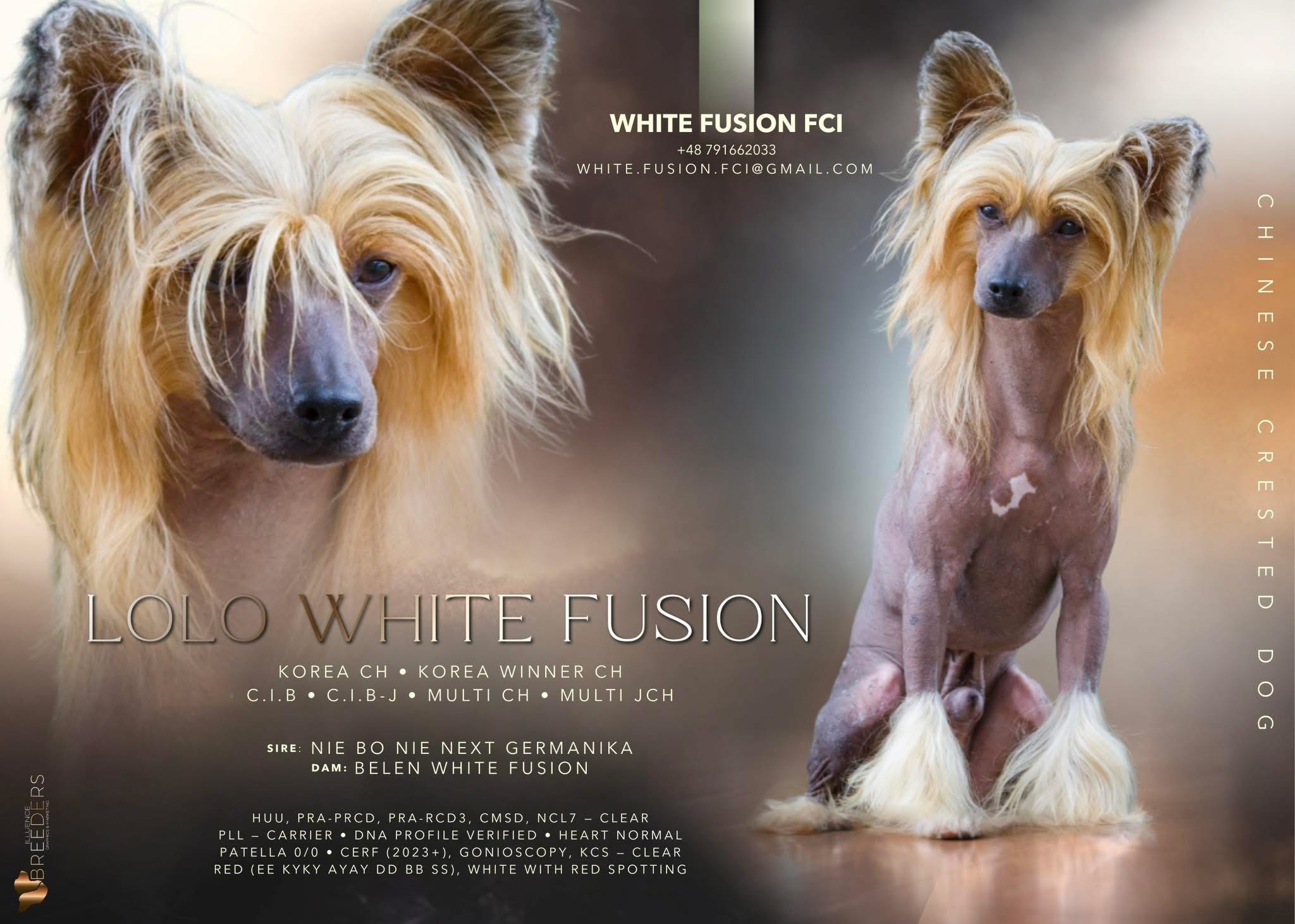 LOLO White Fusion