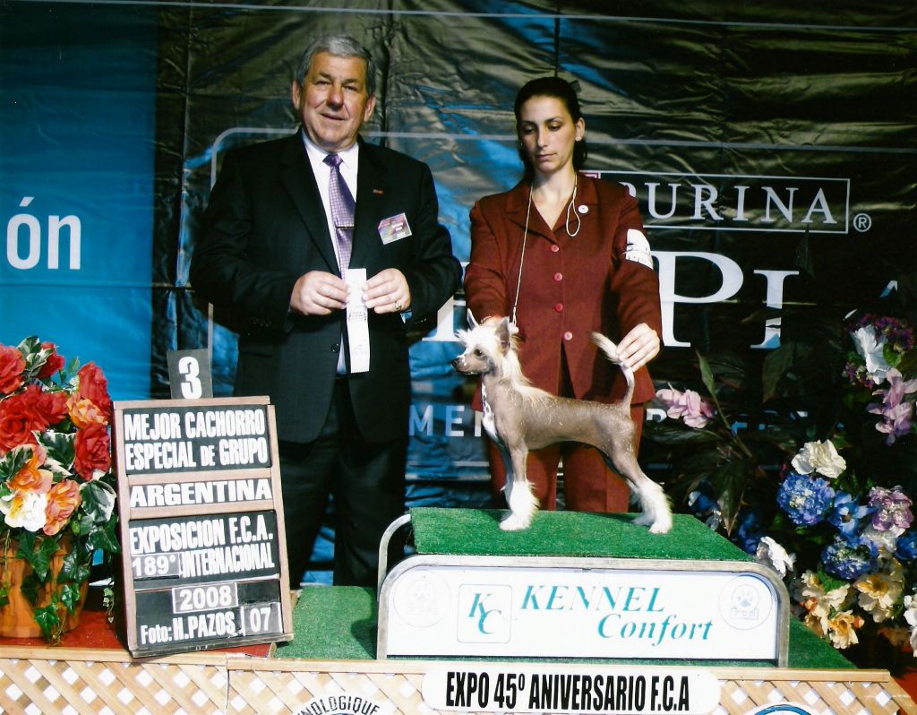 Patagonia Ranch Leon'O