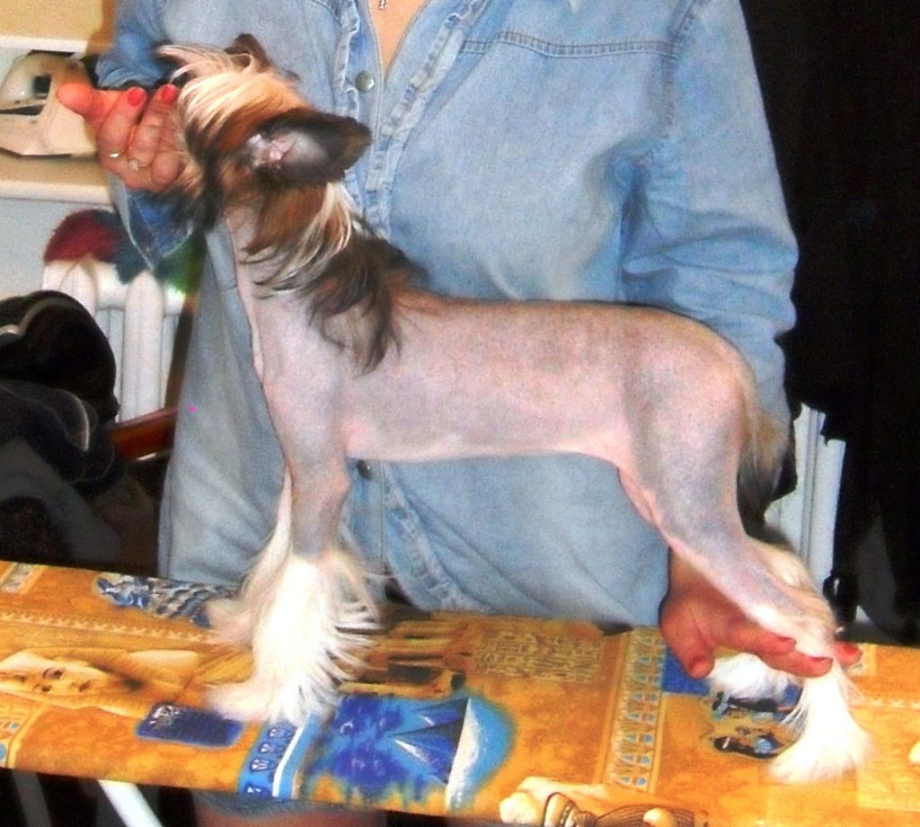 Picture